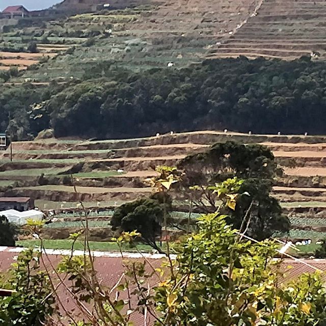 Sakura Park & Haight’s Place in Atok Benguet