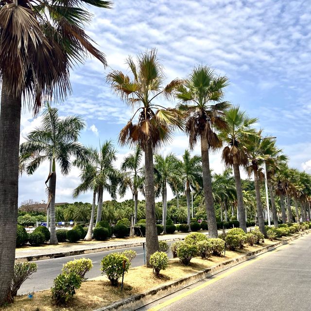 Samila Beach Hotel