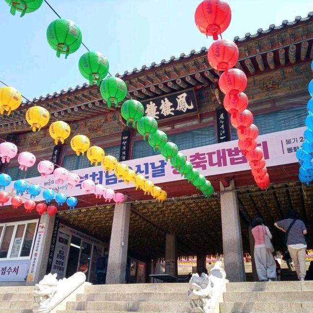 2023년 부처님오신날 맞이 동화사 투어★