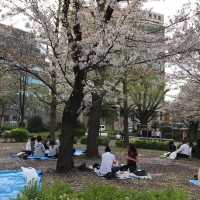 櫻花🌸盛放之時👍🏻必去上野恩賜公園👌🏻家庭一日遊😆日本🗾人最愛之地