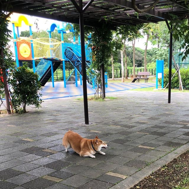 祥和Park🐕寵物公園