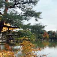 ตามรอยอิคคิวซังที่วัด Kinkakuji