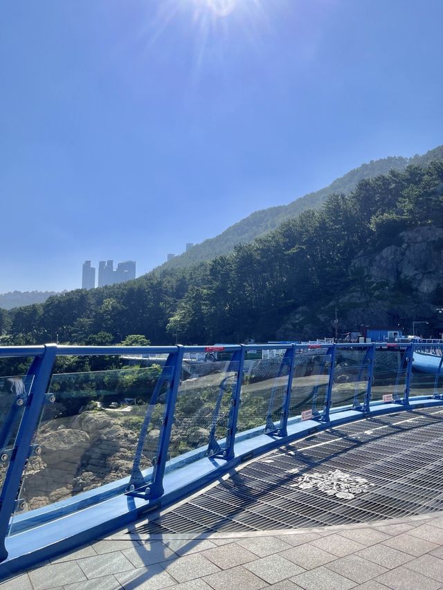 바다 위를 걸을 수 있는 다릿돌 전망대🔭