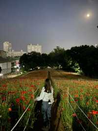 장미축제 막차타기 성공 🌹❤️