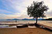 The Mangrove by Blu Monkey 