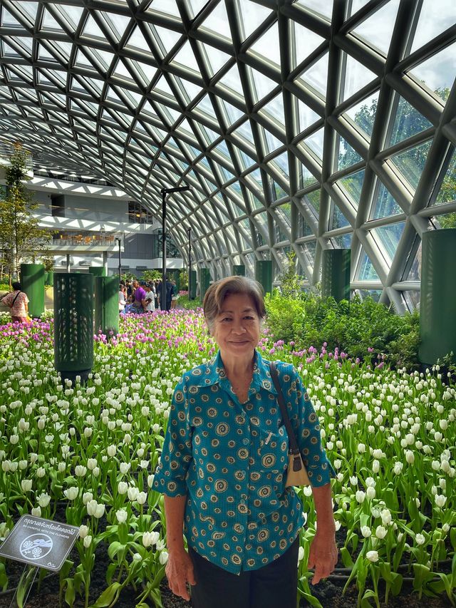 พาแม่ชมดอกไม้เมืองหนาว