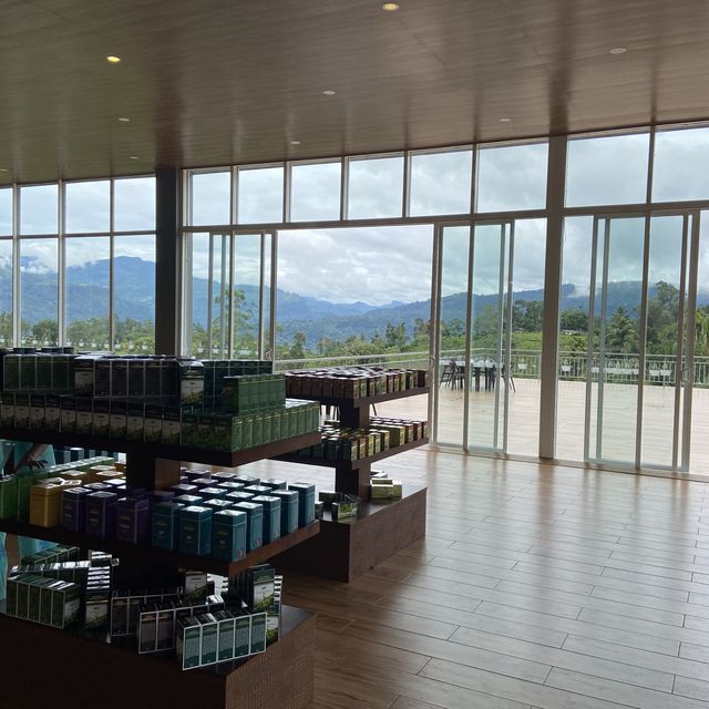 ヌワラエリア、DAMRO tea centre