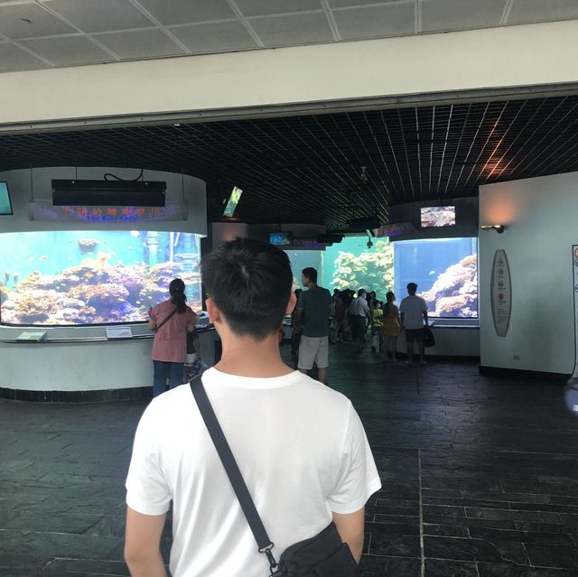 墾丁之旅