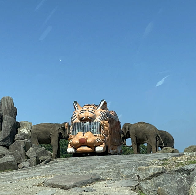 九洲自然動物園觀光車