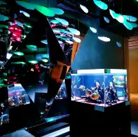 美術館のような水族館　神戸アトア（átoa）