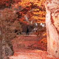 Beautiful Autumn View of Beopjusa Temple