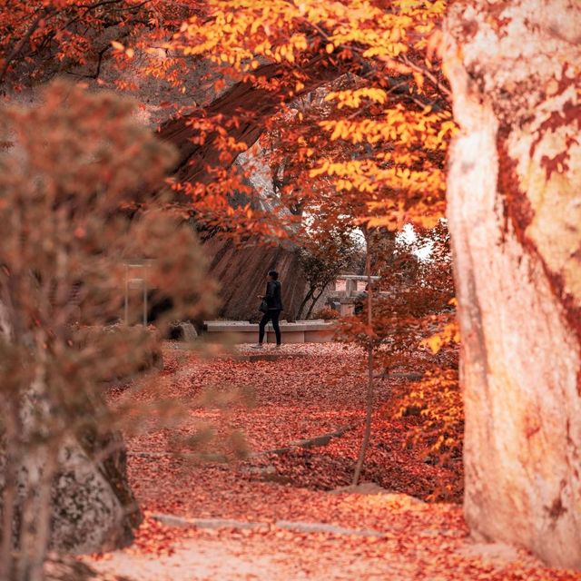 Beautiful Autumn View of Beopjusa Temple