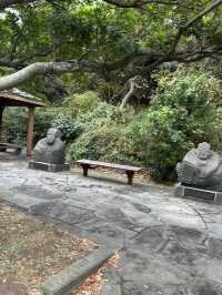 済州島の大自然を感じられる場所！？