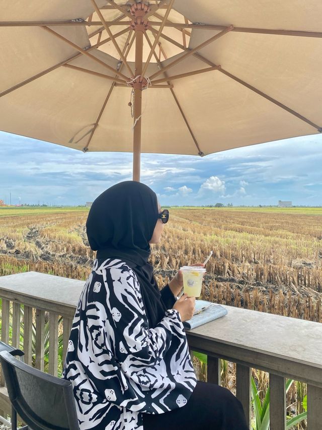 Aesthetic Cafe in Paddy Field 🌾