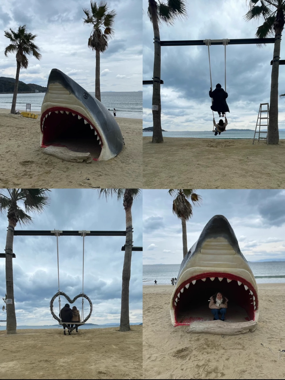 幸運をもたらす『奇跡の流木』? | Trip.com 福岡
