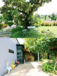 Tree Trees Cafe ศรีเมืองใหม่ อุบลฯ