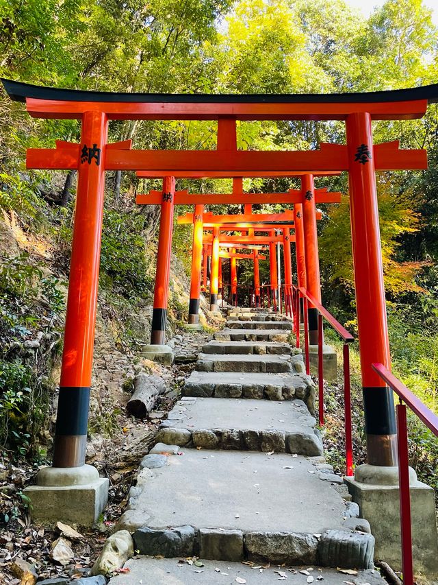 【京都府/二葉姫稲荷神社】神宮寺山の麓にある神社