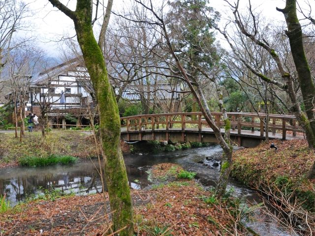 ทะเลสาบคินริน Kinrin Lake 
