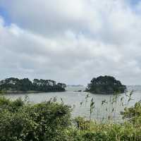 Matsushima วิวทะเลที่สวยที่สุดในจังหวัด Miyagi