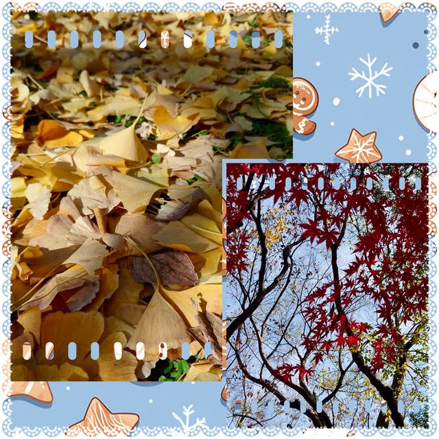 「上野恩賜公園」11月底～12月初，賞紅葉好去處