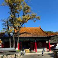 วัดหยวนทง (Yuantong Temple