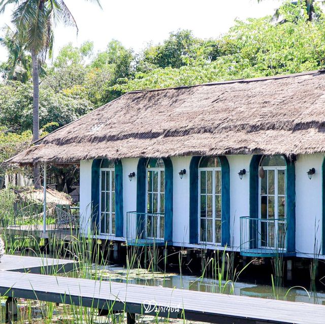 คาเฟ่ใกล้กรุง! มี Mini Zoo ด้านใน กิจกรรมแน่น