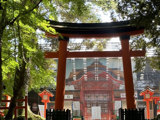 Usa Jingu - An ancient shrine boasting Japanese history and a sacred giant torii gate ⛩️🏯