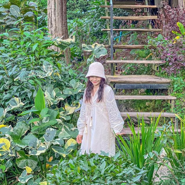 ไปใช้ชีวิตสโลว์ไลฟ์ นอนโฮมสเตย์กลางป่า ราคาหลักร้อย บรรยากาศหลักล้าน พักกายพักใจไปกับธรรมชาติ🍃