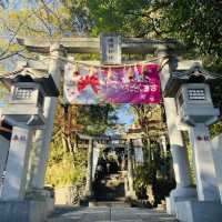多摩川が一望できる絶景 - 多摩川浅間神社 -