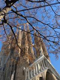 🇪🇸Stunning Sagrada Familia🇪🇸