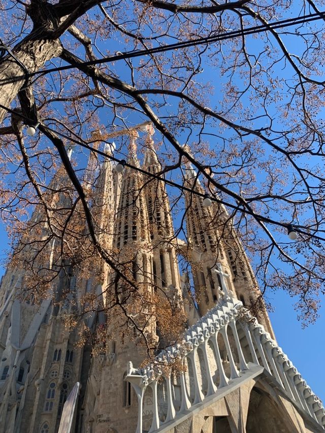 🇪🇸Stunning Sagrada Familia🇪🇸