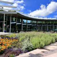 Beautiful Royal Botanic Garden in Sydney