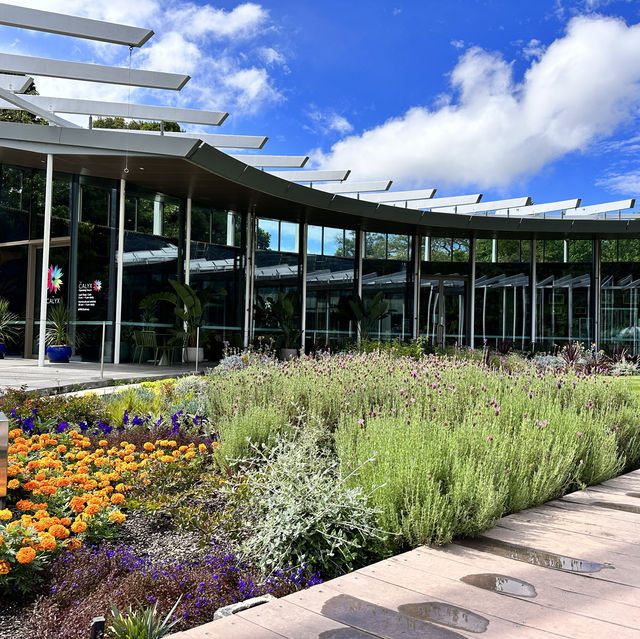 Beautiful Royal Botanic Garden in Sydney
