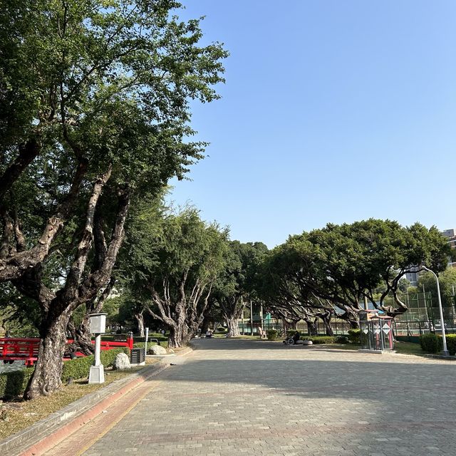 쉼과 여유가 있는 곳, 타이중 공원🍃