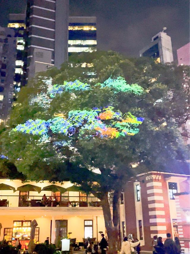 大館全新立體光雕投影節目 - 🐲《龍之歌》