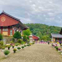 통일신라때 세워진 보석 같은 금산의 절 -  보석사