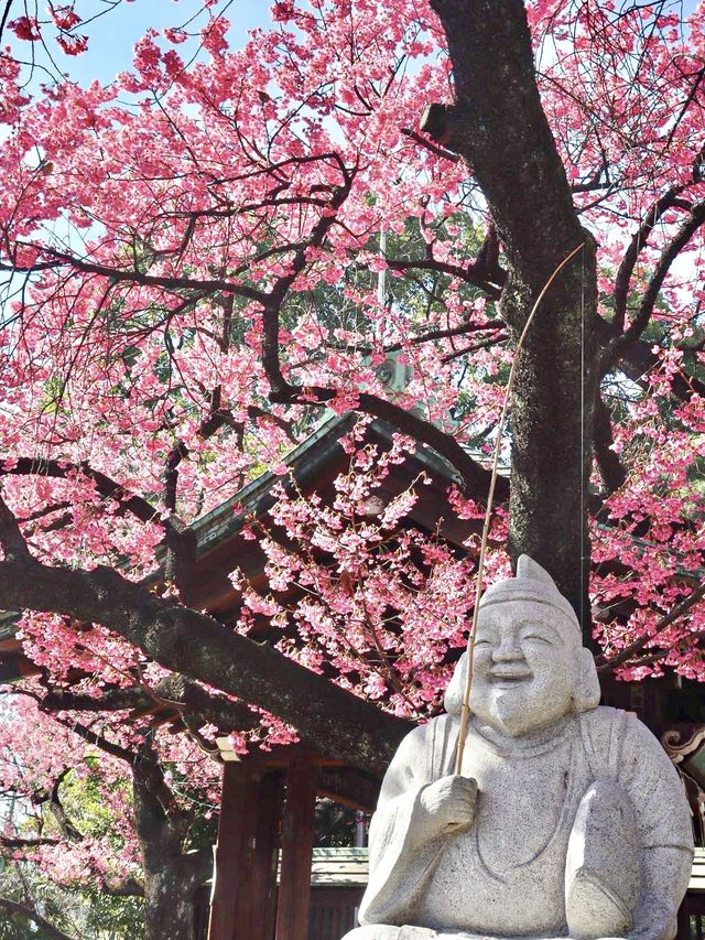 【東京】既に満開の桜が咲くパワースポット