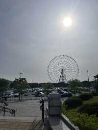 ピクニックにも最高！葛西臨海公園