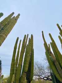  การเดินทางผจญภัยในสวรรค์ของธรรมชาติ🌵