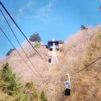 【河口湖天上山公園】飽覽富士山和河口湖的美景