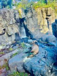 Central Park zoo