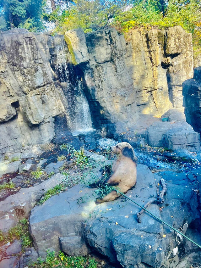 Central Park zoo