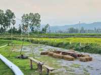 ที่พักท่ามกลางธรรมชาติที่โอบล้อม