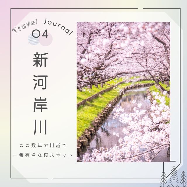 🌸桜の川越を巡る旅🌸