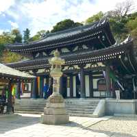 Kamakura Hasedera Temple (Hase-Kannon)