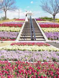【淡路島】春を先取りしちゃう花畑へ🌼🌸🌷