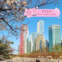 Yeouido Hangang Park in South Korea