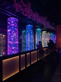 【銀座】春気分を味わうならココ🌸！アートアクアリウム美術館