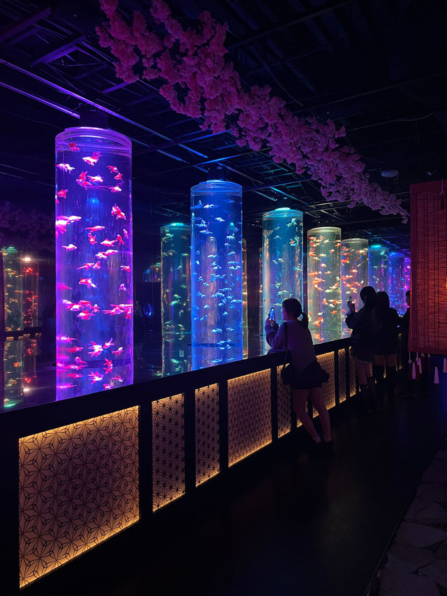 【銀座】春気分を味わうならココ🌸！アートアクアリウム美術館