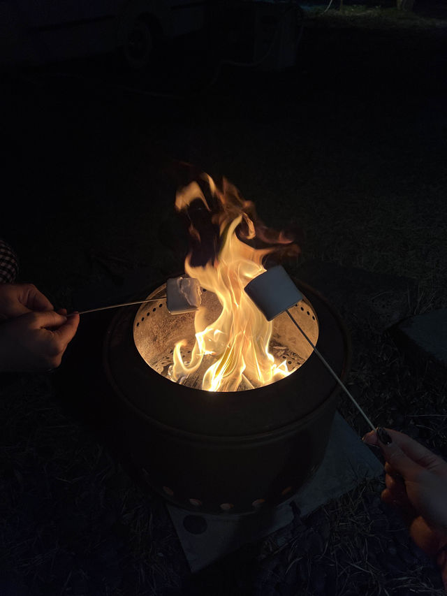 10만원대에 몸만 가면 모든게 다 준비되어 있는 경주 감성 캠핑장 🏕️